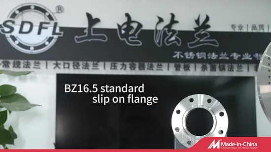 ANSI / En / JIS/ DIN/ Non