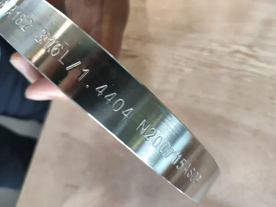 AISI 316/316L Blind Flange/Pipe Fitting ANSI B16.5 Cl600 Forged Flanges Stainless Steel Flange 