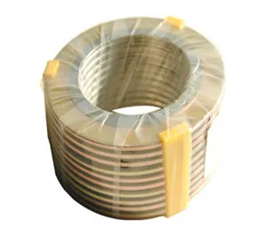 Gasket, Spiral Wound Gasket, Asbetos Gasket, Ring Joint Gasket 