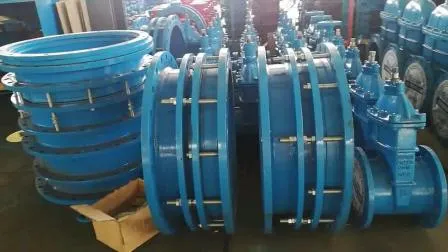 Competitive Price Flexible Metallic Double Flanged Telescopic Pipe Dismantling Joint 
