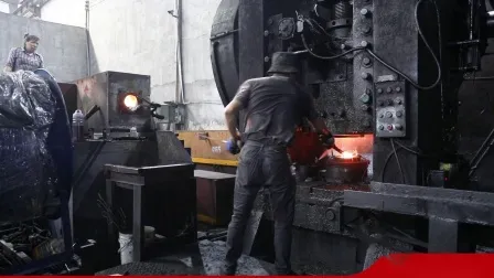 DIN 2276 Pn16 Plate RF Forged Stainless Steel Flange Pipe Fitting 